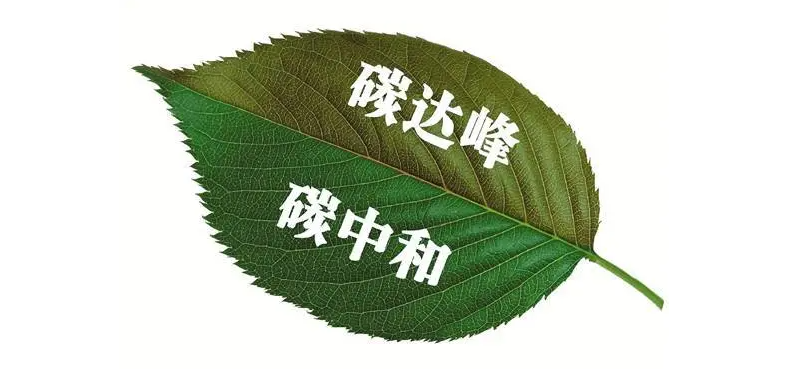 穩中求進:如期實現“雙碳”目標愿景