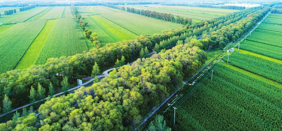 2022年中國國土綠化狀況公報(全文)| 開展林業碳匯試點市(縣)和國有林場森林碳匯試點建設