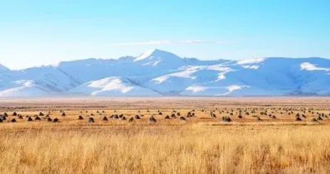 森林碳匯能賣錢嗎?交易前景如何——聽專家講講林草碳匯交易那些事